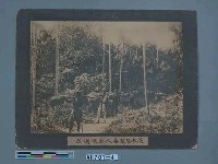 浸水營越蕃人運輸郵件情形藏品圖，第2張